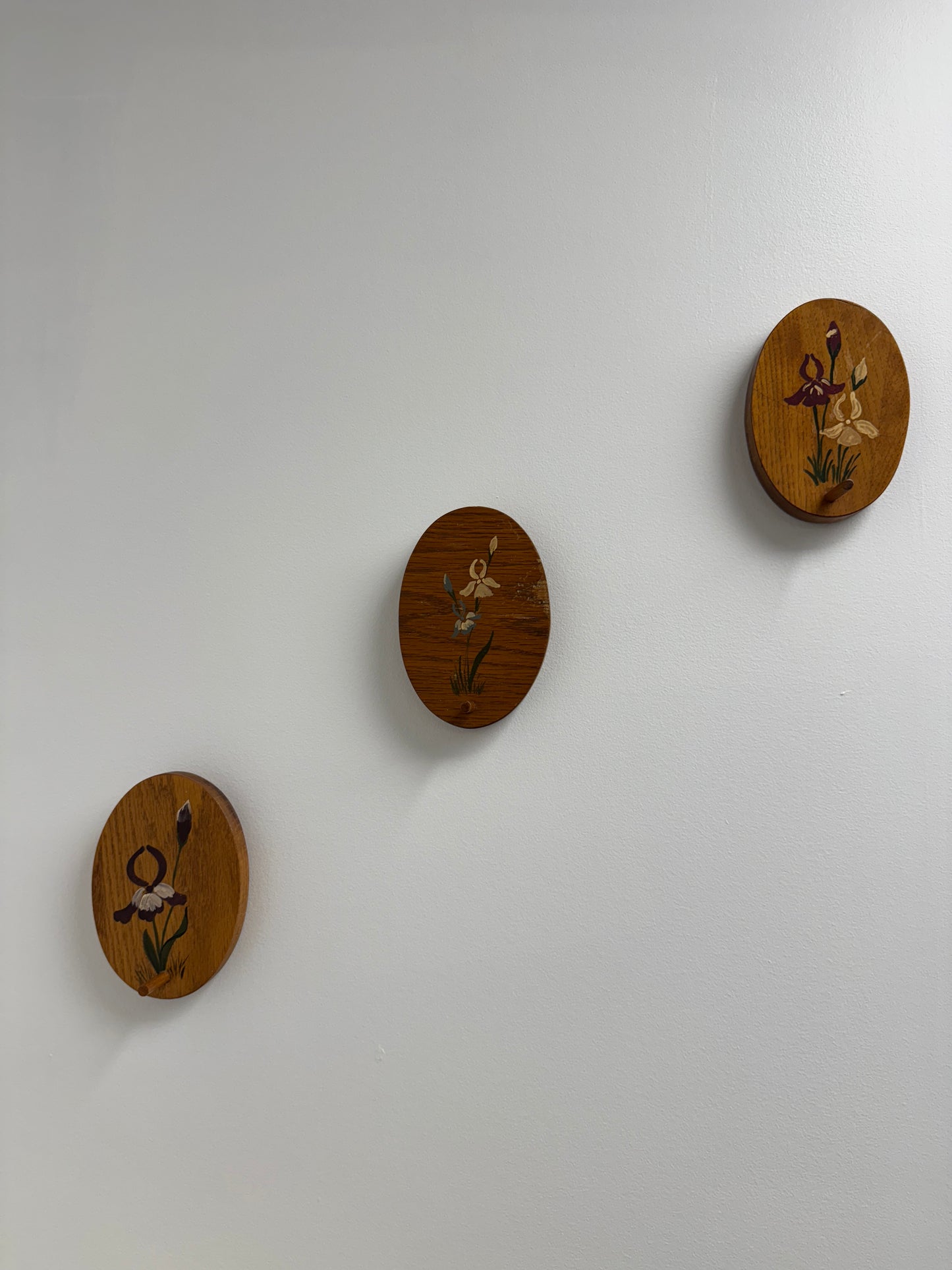 Hand Painted Oval Wood Hangers